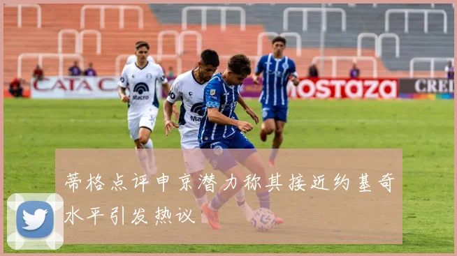 蒂格点评申京潜力称其接近约基奇水平引发热议