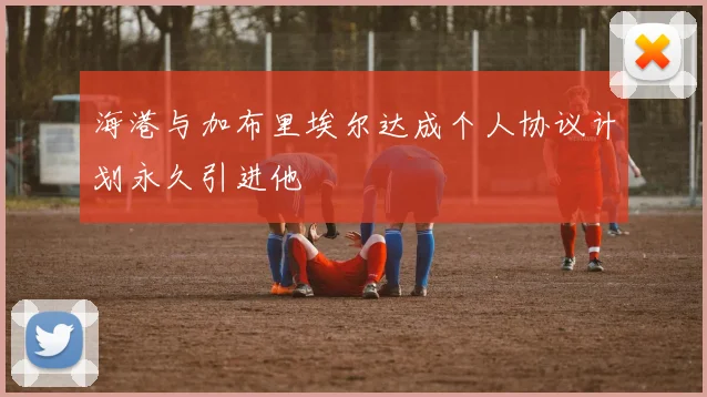 海港与加布里埃尔达成个人协议计划永久引进他