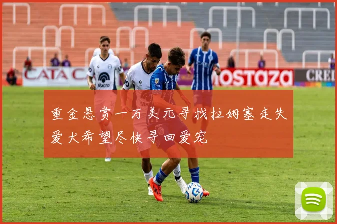重金悬赏一万美元寻找拉姆塞走失爱犬希望尽快寻回爱宠
