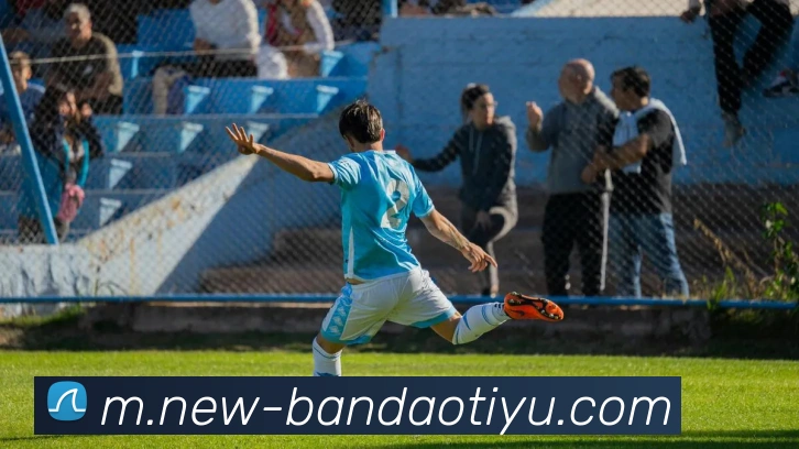 半岛体育平台生态图