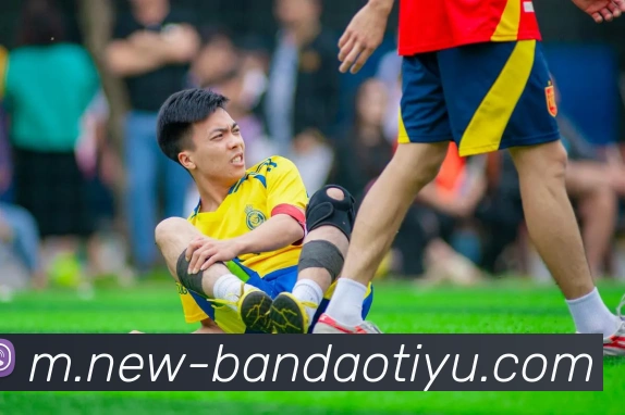 半岛体育APP 封面图